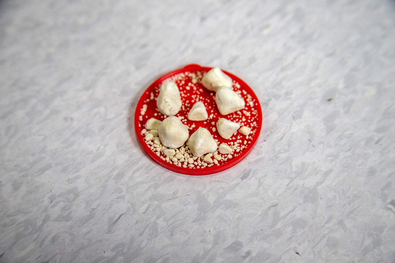 5 Foods Good for Bladder Health