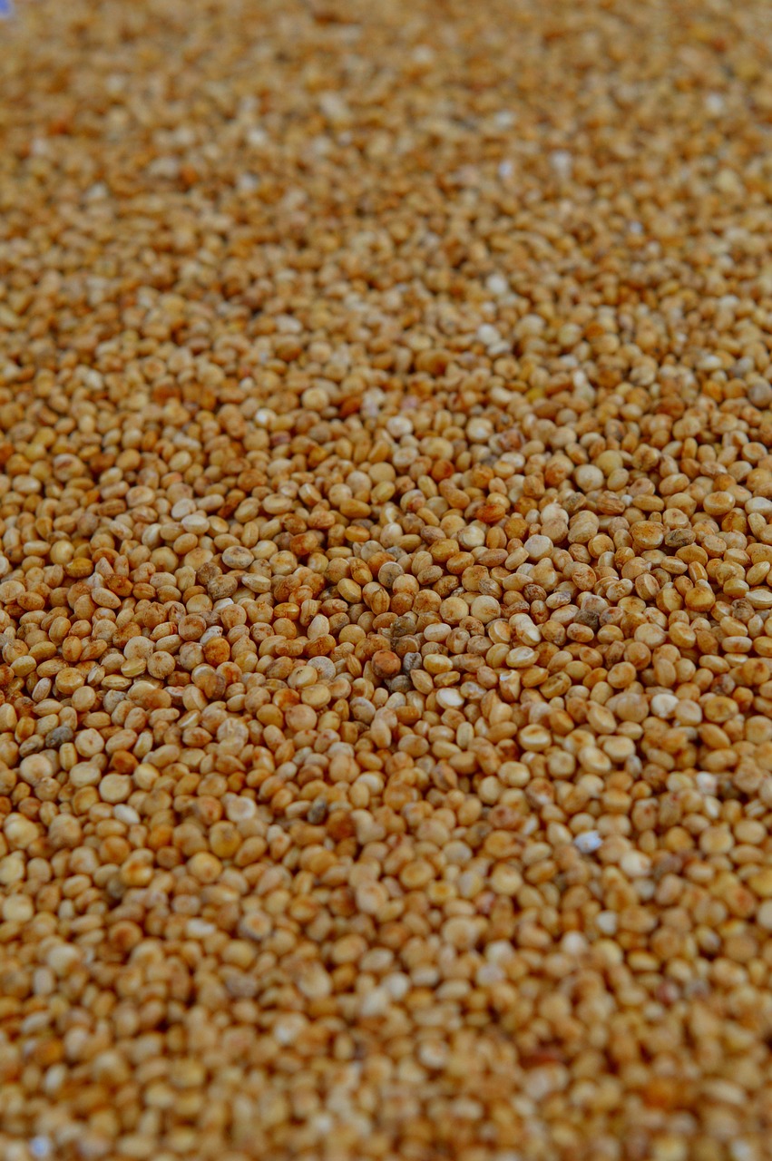 Quinoa